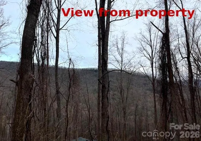 Photo 3 of Land for sale at 65 Weeping Cherry Forest Rd, Fairview, NC 28730 | MLS# 4359701 | Listing updated on 2026-10-03
