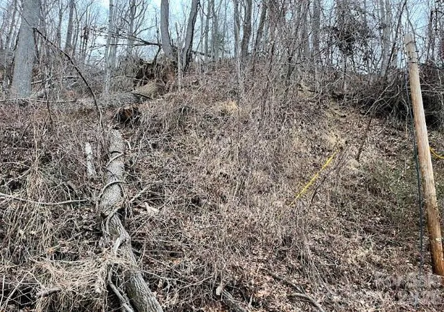 Photo 3 of Land for sale at 65 Weeping Cherry Forest Rd, Fairview, NC 28730 | MLS# 4359701 | Listing updated on 2026-10-03