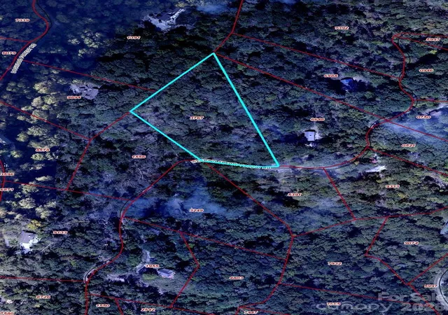Photo 4 of Land for sale at 65 Weeping Cherry Forest Rd, Fairview, NC 28730 | MLS# 4359701 | Listing updated on 2026-10-03