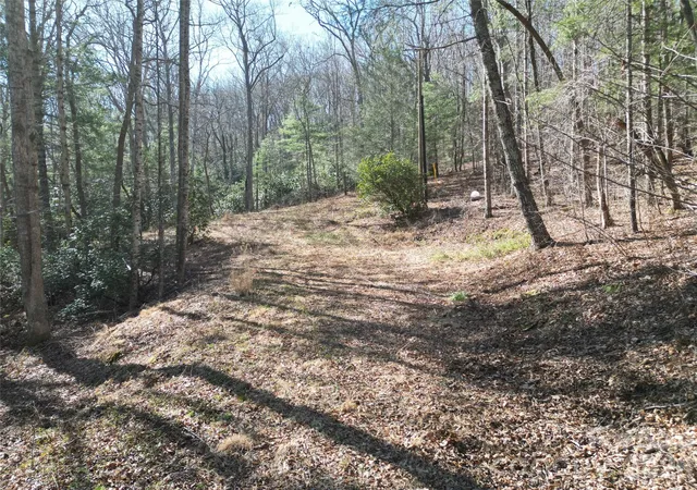 3rd image of 49 Reeds Creek Rd, Fairview, NC 28730 | MLS# 4359793