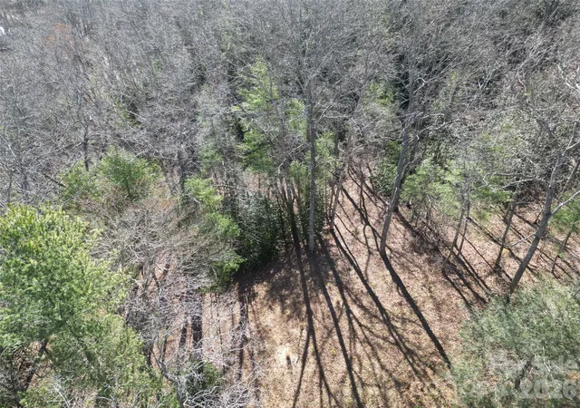4th image of 49 Reeds Creek Rd, Fairview, NC 28730 | MLS# 4359793