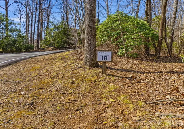 3rd image of Tbd Panther Mountain Rd #18, Zirconia, NC 28790 | MLS# 4359809