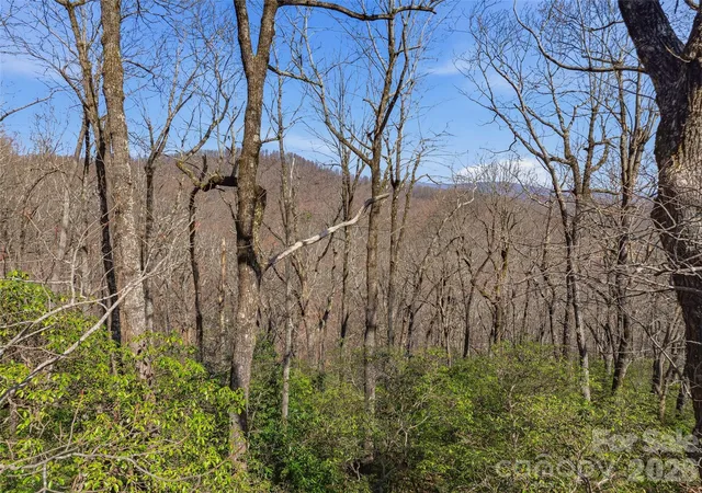 4th image of Tbd Panther Mountain Rd #18, Zirconia, NC 28790 | MLS# 4359809
