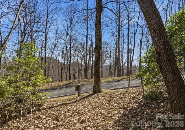 5th image of Tbd Panther Mountain Rd #18, Zirconia, NC 28790 | MLS# 4359809