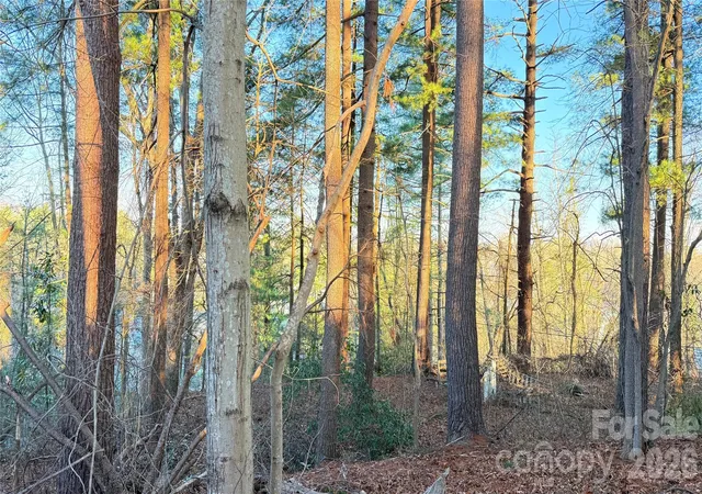 Photo 3 of Land for sale at 00 Toms Park Cir #21&22, Hendersonville, NC | MLS# 4359815 | Listing updated on 2026-09-21