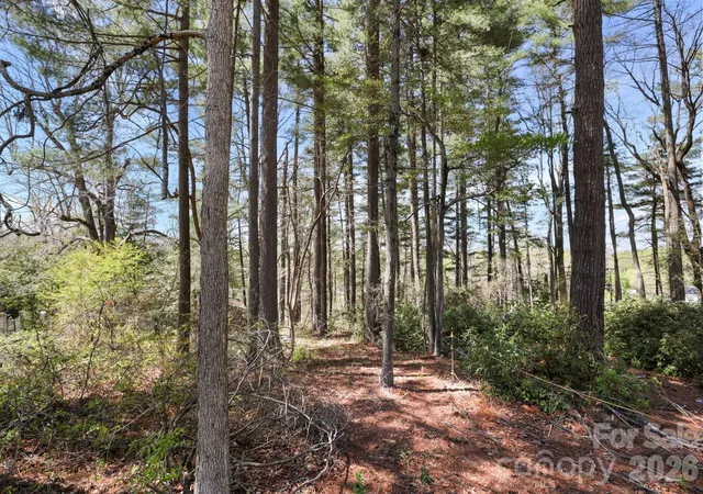 Photo 2 of Land for sale at 00 Toms Park Cir #21&22, Hendersonville, NC | MLS# 4359815 | Listing updated on 2026-09-21