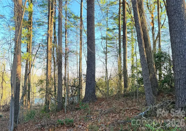 Photo 4 of Land for sale at 00 Toms Park Cir #21&22, Hendersonville, NC | MLS# 4359815 | Listing updated on 2026-09-21