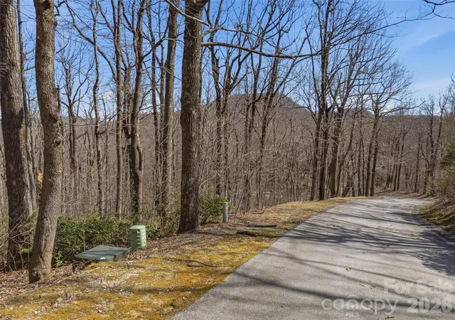1st image of Tbd Wild Magnolia Wy #52, Zirconia, NC 28790 | MLS# 4359816