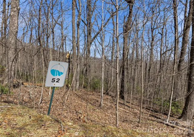 3rd image of Tbd Wild Magnolia Wy #52, Zirconia, NC 28790 | MLS# 4359816