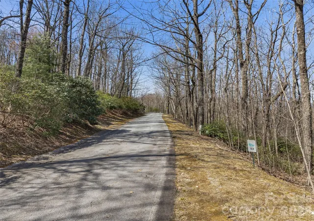 4th image of Tbd Wild Magnolia Wy #52, Zirconia, NC 28790 | MLS# 4359816
