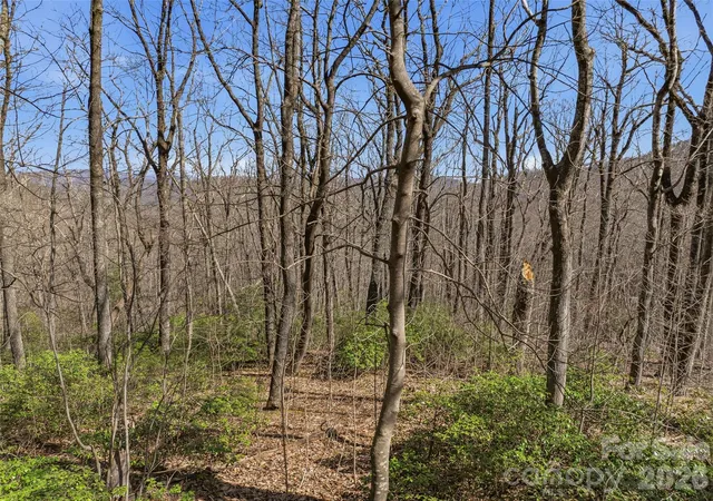 5th image of Tbd Wild Magnolia Wy #52, Zirconia, NC 28790 | MLS# 4359816