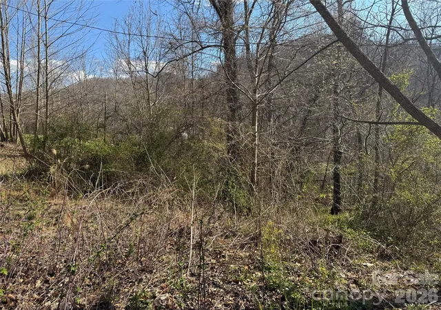 Photo 1 of Land for sale at 9999 Ox Crk Rd, Weaverville, NC 28787 | MLS# 4359851 | Listing updated on 2026-09-23