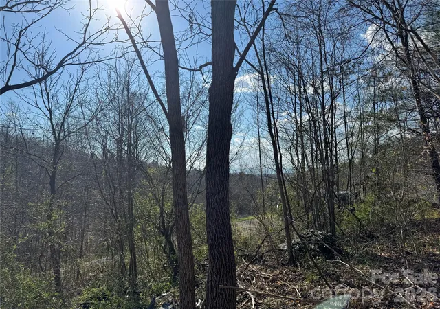 Photo 2 of Land for sale at 9999 Ox Crk Rd, Weaverville, NC 28787 | MLS# 4359851 | Listing updated on 2026-09-23