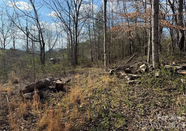 3rd image of 9999 Ox Creek Rd, Weaverville, NC 28787 | MLS# 4359851