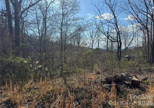 4th image of 9999 Ox Creek Rd, Weaverville, NC 28787 | MLS# 4359851
