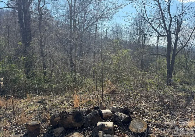 5th image of 9999 Ox Creek Rd, Weaverville, NC 28787 | MLS# 4359851