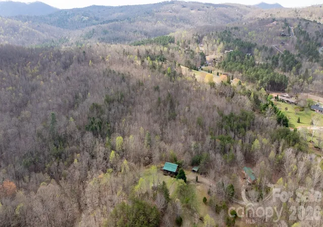 Homes for sale in Nebo, NC | Tbd Joe Branch Rd, Nebo, NC 28761 | MLS# 4359861