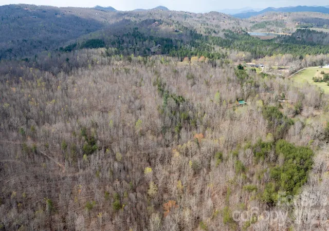 Homes for sale in Nebo, NC | Tbd Joe Branch Rd, Nebo, NC 28761 | MLS# 4359861