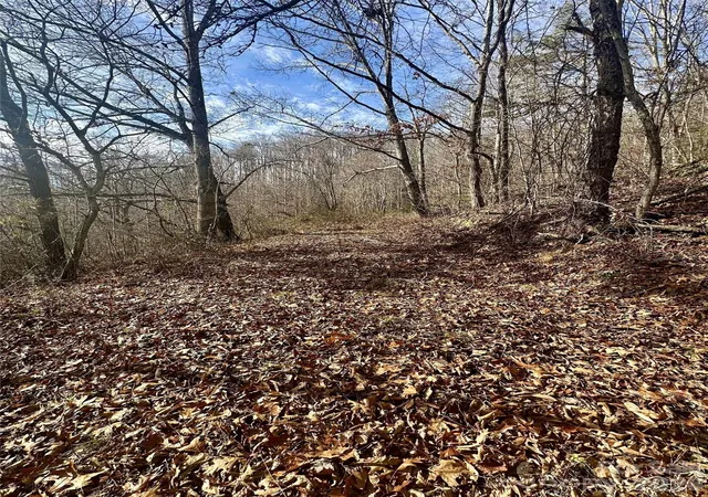 17th image of 00 Queen Cove Rd, Waynesville, NC 28785 | MLS# 4359995