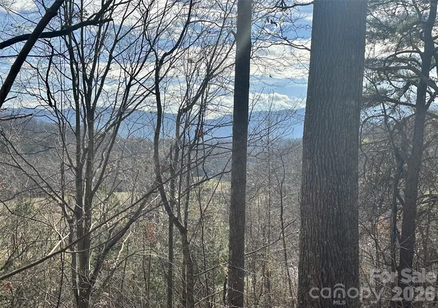 4th image of 00 Queen Cove Rd, Waynesville, NC 28785 | MLS# 4359995