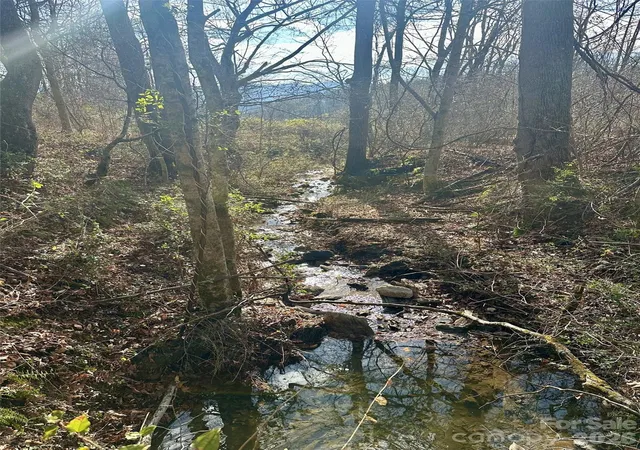 5th image of 00 Queen Cove Rd, Waynesville, NC 28785 | MLS# 4359995