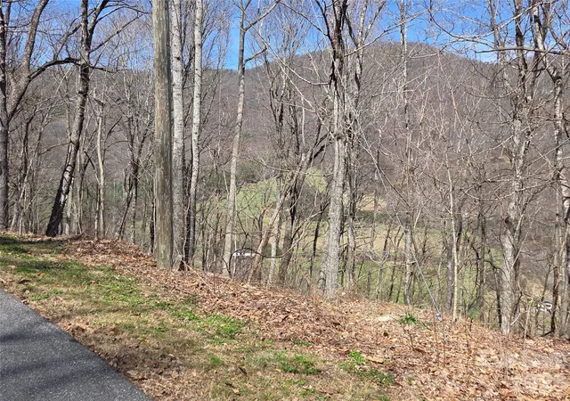 Photo 1 of Land for sale at 820 Chestnut Flats Ln #4, Waynesville, NC 28786 | MLS# 4360087 | Listing updated on 2026-08-27