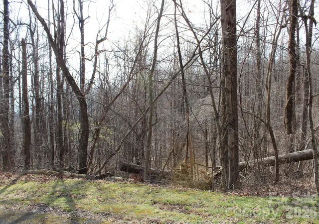 Photo 1 of Land for sale at Lot 20 Sunset Ridge Dr #20, Columbus, NC 28722 | MLS# 4360439 | Listing updated on 2026-03-23