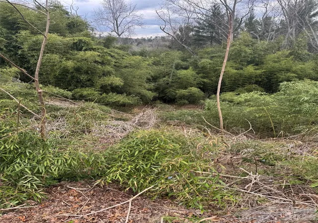 1st image of 34 Belleair Rd, Asheville, NC 28806 | MLS# 4360579