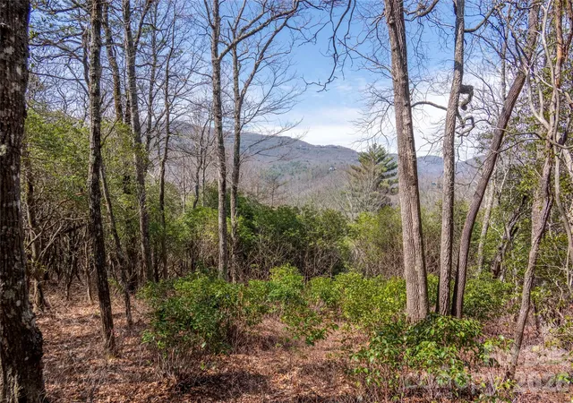 Homes for sale in Lake Toxaway, NC | Lot 14 Lakeside Dr, Lake Toxaway, NC 28747 | MLS# 4360790