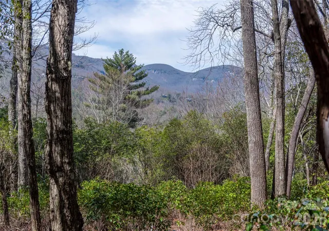 Homes for sale in Lake Toxaway, NC | Lot 14 Lakeside Dr, Lake Toxaway, NC 28747 | MLS# 4360790