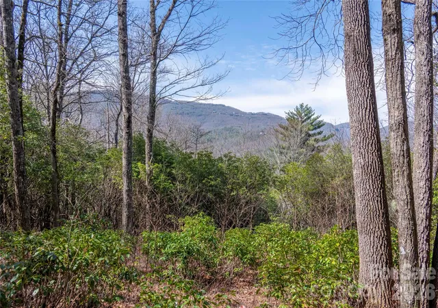 Homes for sale in Lake Toxaway, NC | Lot 14 Lakeside Dr, Lake Toxaway, NC 28747 | MLS# 4360790