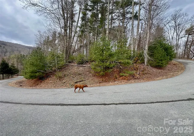 Photo 1 of Land for sale at Tbd Mantera Ridge, Sugar Grove, NC 28679 | MLS# 4360796 | Listing updated on 2026-08-18