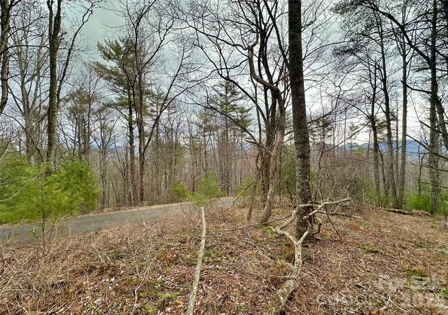 Photo 4 of Land for sale at Tbd Mantera Ridge, Sugar Grove, NC 28679 | MLS# 4360796 | Listing updated on 2026-08-18