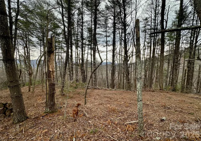 Photo 5 of Land for sale at Tbd Mantera Ridge, Sugar Grove, NC 28679 | MLS# 4360796 | Listing updated on 2026-08-18