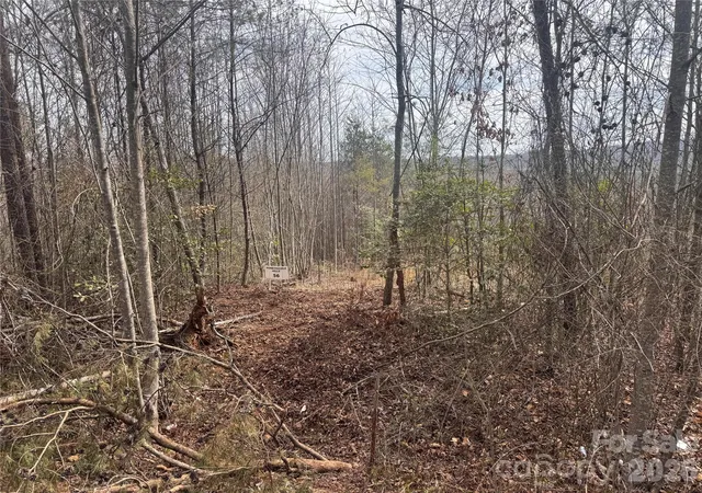 Homes for sale in Traphill, NC | 00 Billings Hill Church Rd #56, Traphill, NC 28685 | MLS# 4360875