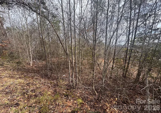 Homes for sale in Traphill, NC | 00 Billings Hill Church Rd #56, Traphill, NC 28685 | MLS# 4360875
