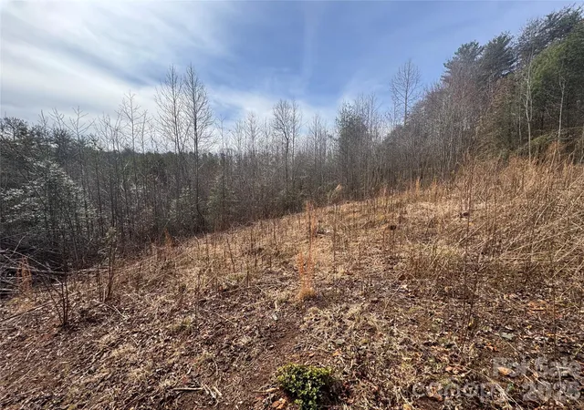Photo 4 of Land for sale at 00 Billings Hl Church Rd #56, Traphill, NC 28685 | MLS# 4360875 | Listing updated on 2026-07-07