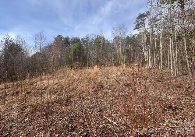 Photo 5 of Land for sale at 00 Billings Hl Church Rd #56, Traphill, NC 28685 | MLS# 4360875 | Listing updated on 2026-07-07