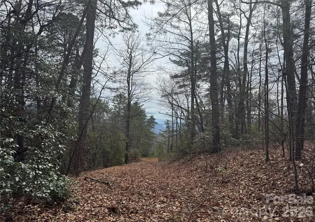 Photo 2 of Land for sale at 850 Harmonys Edge Dr #850, Old Fort, NC 28762 | MLS# 4360998 | Listing updated on 2026-03-26