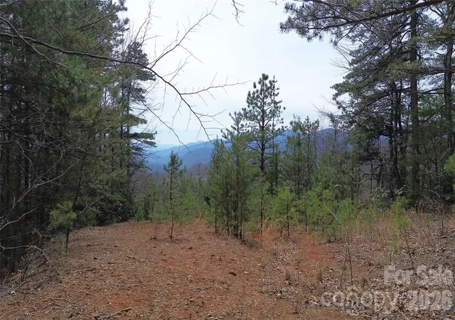 Photo 1 of Land for sale at 850 Harmonys Edge Dr #850, Old Fort, NC 28762 | MLS# 4360998 | Listing updated on 2026-03-26