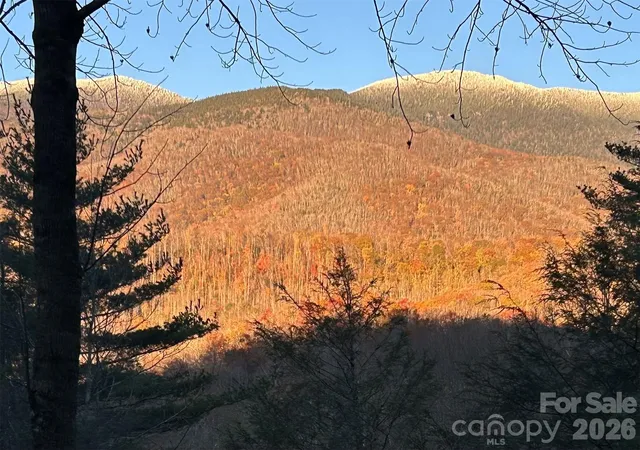 42nd image of 448 Mt Mitchell Dr, Burnsville, NC 28714 | MLS# 4361005