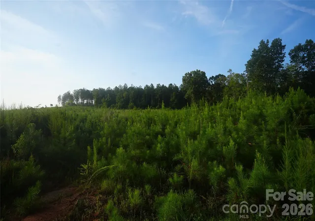 Photo 5 of Land for sale at 00 Bobby Faucette Rd #4, Jonesville, SC 29353 | MLS# 4361091 | Listing updated on 2026-08-17