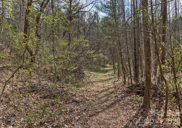 42nd image of 37 Creekside View Dr, Asheville, NC 28804 | MLS# 4361134