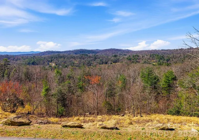 Photo 4 of Land for sale at 367 Curtain Blf, Hendersonville, NC 28791 | MLS# 4361224 | Listing updated on 2026-09-19