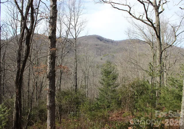 Photo 1 of Land for sale at Lots 82 & 83 Waterdance Dr, Tuckasegee, NC 28783 | MLS# 4361260 | Listing updated on 2026-03-25