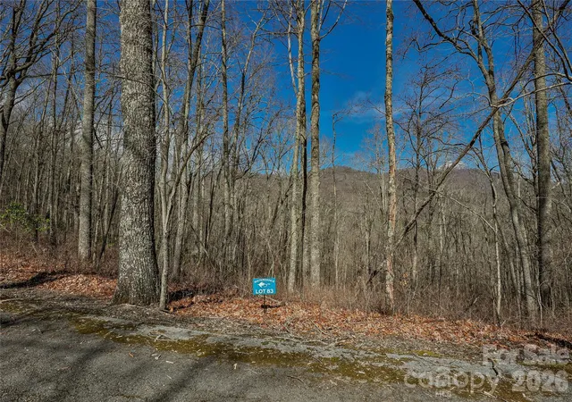 Photo 5 of Land for sale at Lots 82 & 83 Waterdance Dr, Tuckasegee, NC 28783 | MLS# 4361260 | Listing updated on 2026-03-25