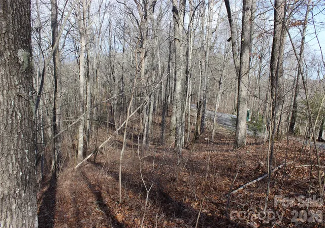 Photo 3 of Land for sale at Lot 84 Waterdance Dr, Tuckasegee, NC 28783 | MLS# 4361286 | Listing updated on 2026-03-25