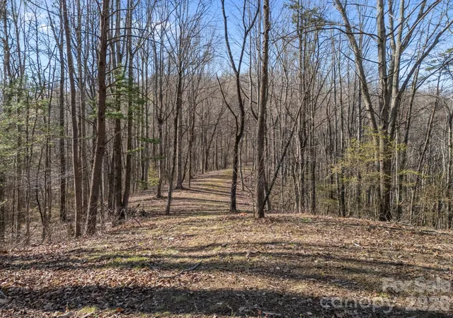 Homes for sale in Leicester, NC | 9999 Hidden Cove Rd, Leicester, NC 28748 | MLS# 4361367