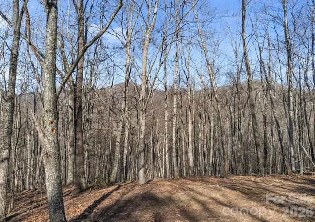 Homes for sale in Leicester, NC | 9999 Hidden Cove Rd, Leicester, NC 28748 | MLS# 4361367