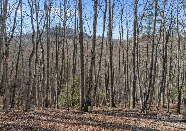Homes for sale in Leicester, NC | 9999 Hidden Cove Rd, Leicester, NC 28748 | MLS# 4361367